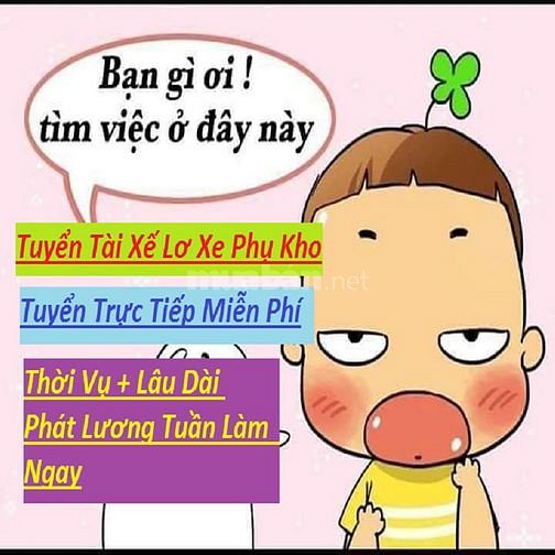 Việc Làm Đức Huệ =>> Lơ Xe - Phụ Kho Lương Cao Lương Tuần Đi Làm Ngay