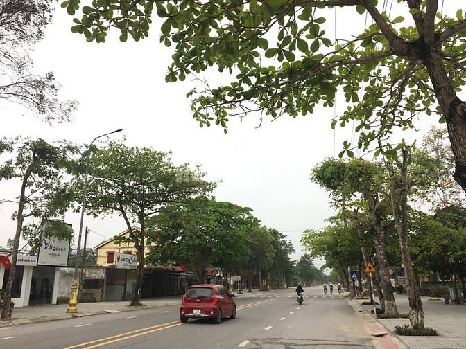 Bán đất mặt đường Hoàng Đan, Phường Nghi Thu, TX Cửa Lò 60324219 Bán đất mặt đường Hoàng Đan, Phường Nghi Thu, TX Cửa Lò