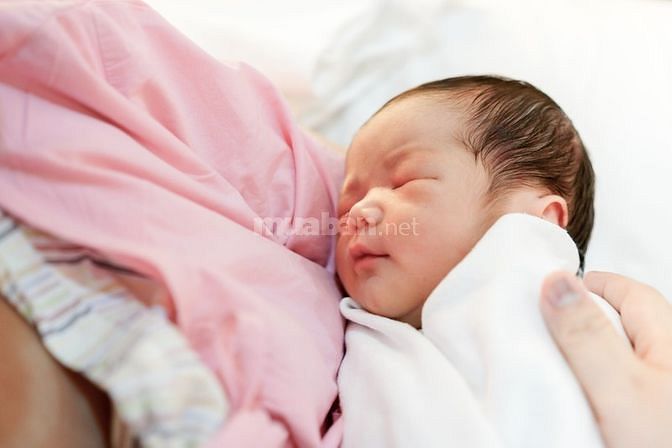 Nhà tôi tìm giúp việc bao ăn ở người trông bé và người trông nom bà cụ 60344527 Nhà tôi tìm giúp việc bao ăn ở người trông bé và người trông nom bà cụ