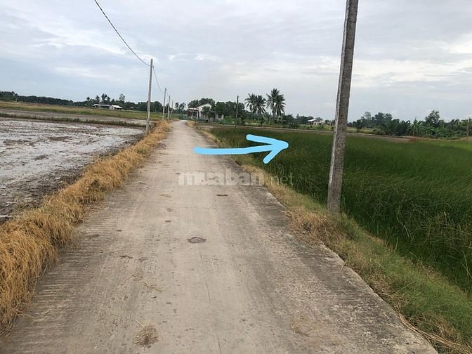 Bán gấp 1000 m2 đất tại ấp 1 xã Lạc Tấn, Tân Trụ, Long An (1,15 tỷ) 60375680 Bán gấp 1000 m2 đất tại ấp 1 xã Lạc Tấn, Tân Trụ, Long An (1,15 tỷ)