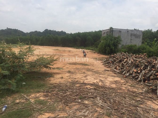 1 sào đất xã suối cát huyện xuân Lộc giá rẻ 60420153 1 sào đất xã suối cát huyện xuân Lộc giá rẻ