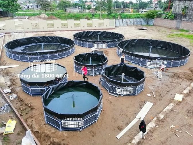 TUYỂN GẤP 05 NAM, LĐPT, làm việc tại Bình Tân, HCM. 60442533 TUYỂN GẤP 05 NAM, LĐPT, làm việc tại Bình Tân, HCM.