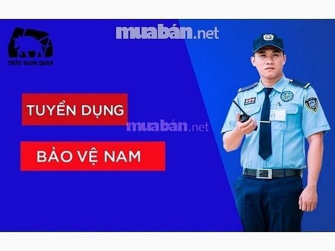 Việc làm hà nội 40 bảo vệ giữ xe và quẹt thẻ, trực an ninh tòa nhà