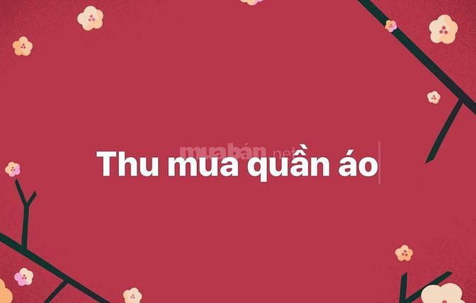 Chuyên thu mua quần áo thanh lý nữ trẻ em SLL giá cao 60468911 Chuyên thu mua quần áo thanh lý nữ trẻ em SLL giá cao
