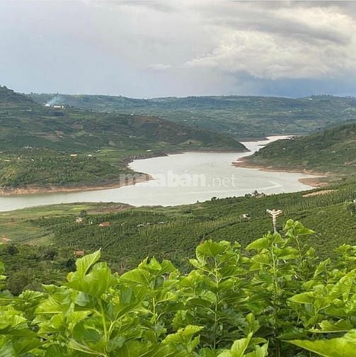Bán cây xăng dầu, và giấy phép pháp lý công ty. 60490325 Bán cây xăng dầu, và giấy phép pháp lý công ty.