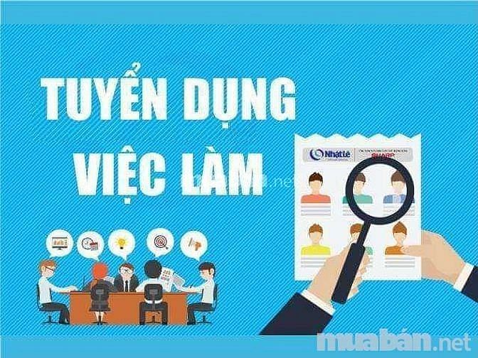 Tuyển vị trí bán hàng tại siêu thị 60490339 Tuyển vị trí bán hàng tại siêu thị