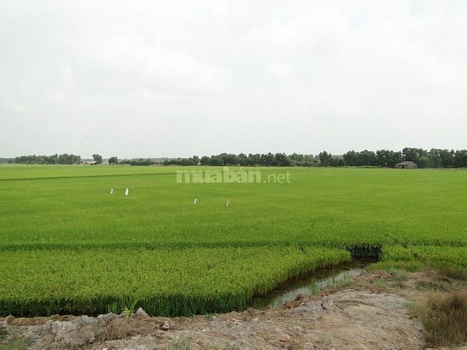 Đất nhà không tiện canh tác cần sang gấp. MT QL63, 11.297,,4m2 - 2,3ty 60497301 Đất nhà không tiện canh tác cần sang gấp. MT QL63, 11.297,,4m2 - 2,3ty