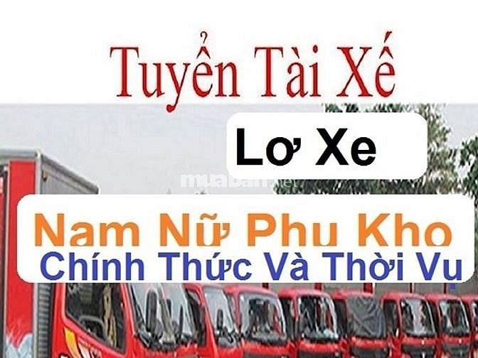 Cần Gấp Lái Xe B2 _C và Phụ Xe Phụ Kho Bốc Xếp 60568000 Cần Gấp Lái Xe B2 _C và Phụ Xe Phụ Kho Bốc Xếp