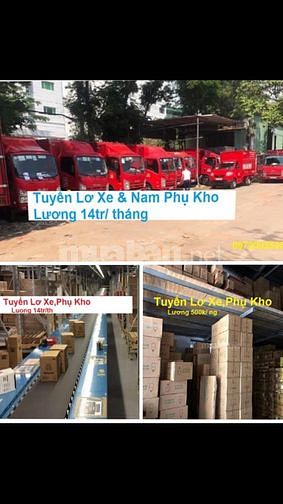 Bình Dương Cần Tuyển Lơ Xe Và Nam Phụ Kho Bánh Kẹo Lương ngày 60627838 Bình Dương Cần Tuyển Lơ Xe Và Nam Phụ Kho Bánh Kẹo Lương ngày