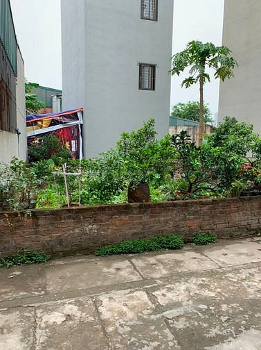 Bán đất Biên Giang, Hà Đông, đi bộ ra mặt đường Quốc lộ 6, 41m, 984tr 60618566 Bán đất Biên Giang, Hà Đông, đi bộ ra mặt đường Quốc lộ 6, 41m, 984tr