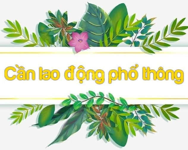 Cần bổ xung các bộ phận sau dịch 60659431 Cần bổ xung các bộ phận sau dịch