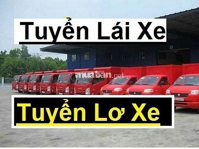 Tuyển Nhân Viên tài xế phụ kho Và phụ xe Làm Tại Long An 60736844 Tuyển Nhân Viên tài xế phụ kho Và phụ xe Làm Tại Long An