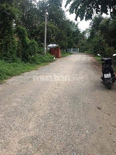 Cần bán 2 lô liền kề. DT mỗi lô 10*50. 60746960 Cần bán 2 lô liền kề. DT mỗi lô 10*50.