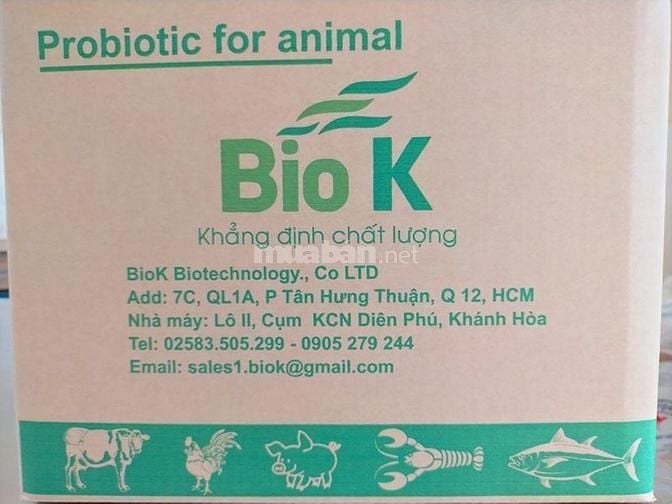 BIOK - Cần Tìm Nhà phâ Phối, Đại Lý Men Vi Sinh.... 60756347 BIOK - Cần Tìm Nhà phâ Phối, Đại Lý Men Vi Sinh....