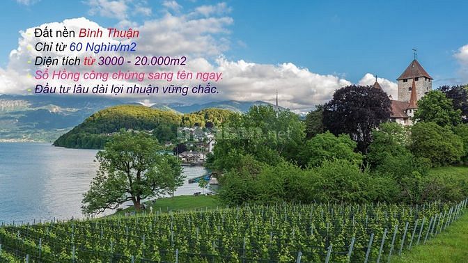 Đất nền Bình Thuận 5000m2 270tr 60913191 Đất nền Bình Thuận 5000m2 270tr