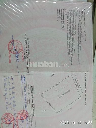 Bán 410m2 đất an hòa Trảng Bàng. 60923531 Bán 410m2 đất an hòa Trảng Bàng.