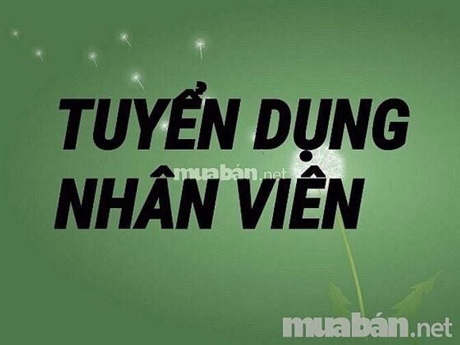 Tuyển gấp nhân viên thu ngân cho siêu thị chi nhánh Tân Bình 60939501 Tuyển gấp nhân viên thu ngân cho siêu thị chi nhánh Tân Bình
