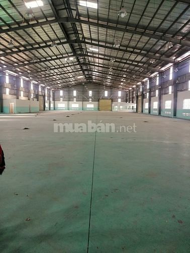 Cần cho thuê kho xưởng dt 1000m2, 2200m2 trong Cụm kho mặt tiền TL10 61044900 Cần cho thuê kho xưởng dt 1000m2, 2200m2 trong Cụm kho mặt tiền TL10