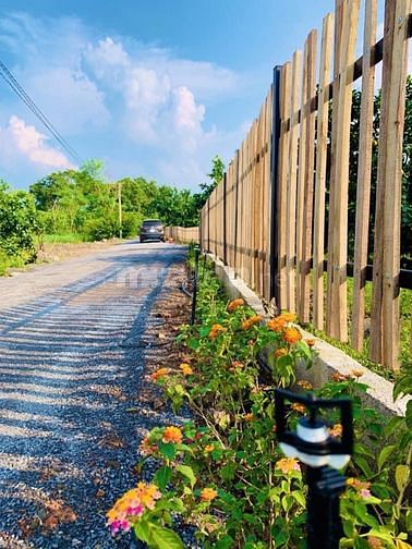 Kẹt tiền gấp bán đất giá ngộp 180m2 giá 380tr, sổ hồng riêng 61118498 Kẹt tiền gấp bán đất giá ngộp 180m2 giá 380tr, sổ hồng riêng