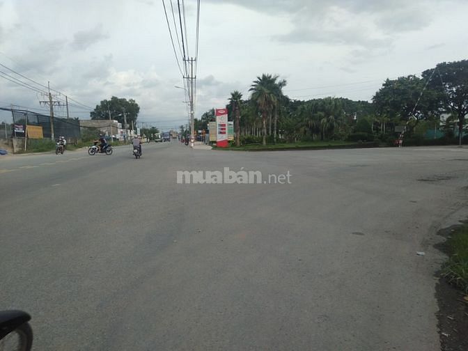 Tôi cần bán gấp 1000m2 liền kề KCN Becamex dân cư hiện hữu, 61182711 Tôi cần bán gấp 1000m2 liền kề KCN Becamex dân cư hiện hữu,