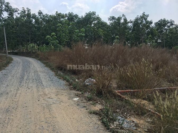 Gia đình kẹt tiền cần bán gấp lô đất diện tích: 1000m2. 61182721 Gia đình kẹt tiền cần bán gấp lô đất diện tích: 1000m2.