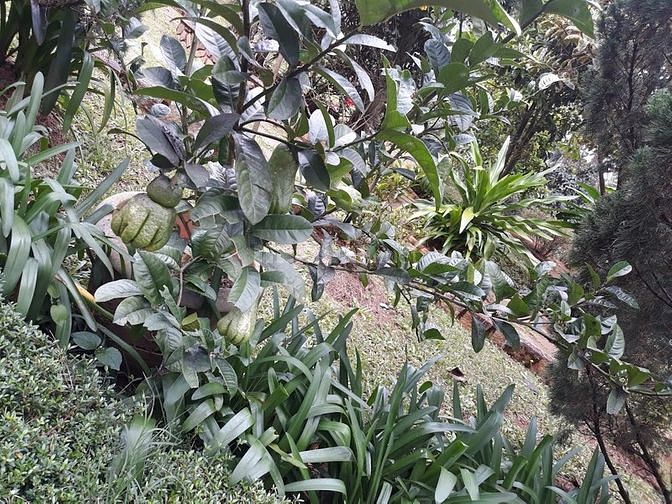 Cần người chăm sóc người già lo cho bà đi đứng lại được 61188691 Cần người chăm sóc người già lo cho bà đi đứng lại được