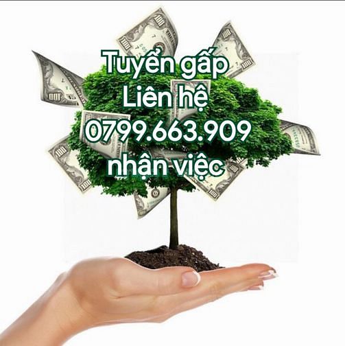 Cửa hàng bách hóa tổng hợp cần tuyển gấp nhân viên bán hàng. 59472544 Cửa hàng bách hóa tổng hợp cần tuyển gấp nhân viên bán hàng.