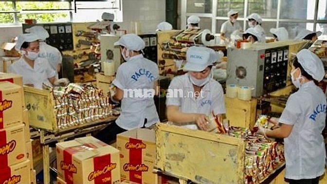 Siêu thị cần tuyển gấp nhân viên thu ngân bán hàng 61243601 Siêu thị cần tuyển gấp nhân viên thu ngân bán hàng
