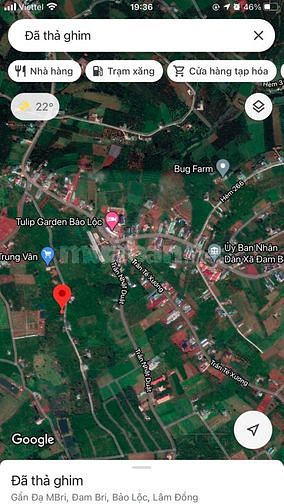 Bán đất đường Trần Nhật Duật, Dambri, Tp. Bảo Lộc - Gần Tulip Garden 60060024 Bán đất đường Trần Nhật Duật, Dambri, Tp. Bảo Lộc - Gần Tulip Garden