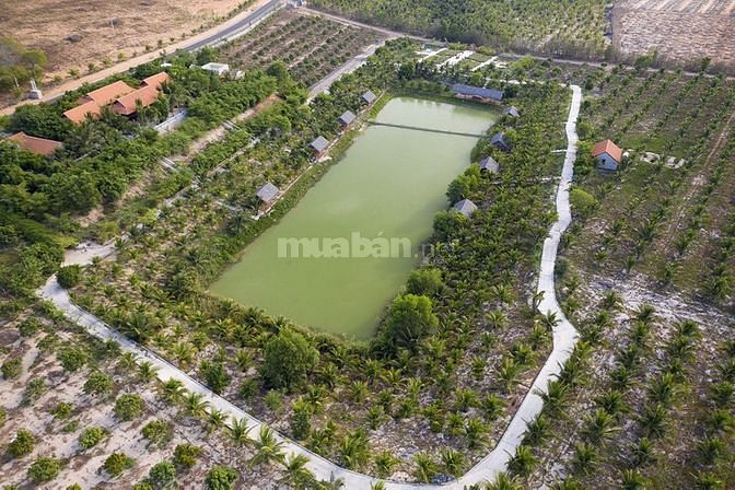 Đất sào, đất mẫu ven biển bình thuận 61290731 Đất sào, đất mẫu ven biển bình thuận