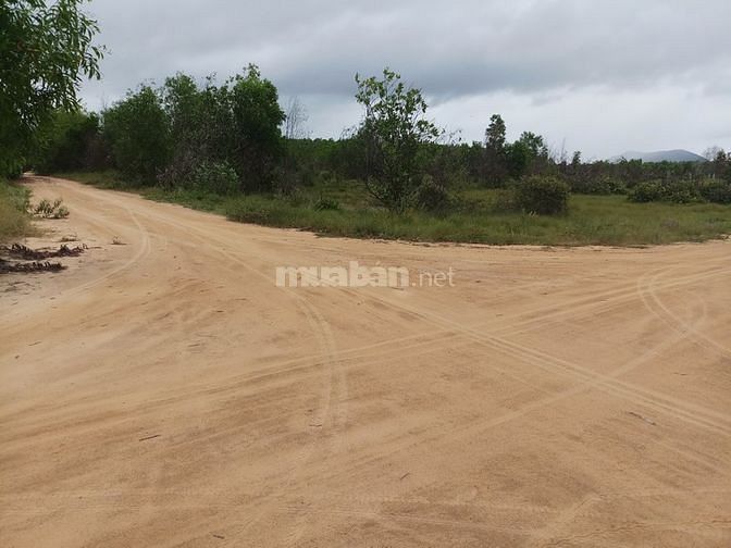 Đất ven biển Lagi Bình Thuận, chỉ 950.000/m2 SHR. 61300106 Đất ven biển Lagi Bình Thuận, chỉ 950.000/m2 SHR.