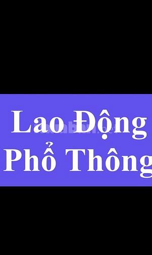 Cần nam / nữ Làm việc lâu dài , ổn định 61334568 Cần nam / nữ Làm việc lâu dài , ổn định