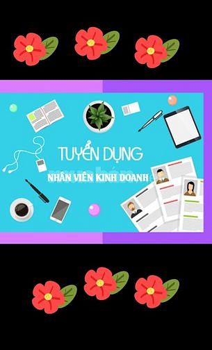 Cần tuyển nhân viên văn phòng tại trung tâm đà nẵng 61333216 Cần tuyển nhân viên văn phòng tại trung tâm đà nẵng