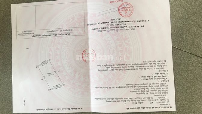 Bán 5ha đất cao su bình dương chưa khai thác 61282954 Bán 5ha đất cao su bình dương chưa khai thác