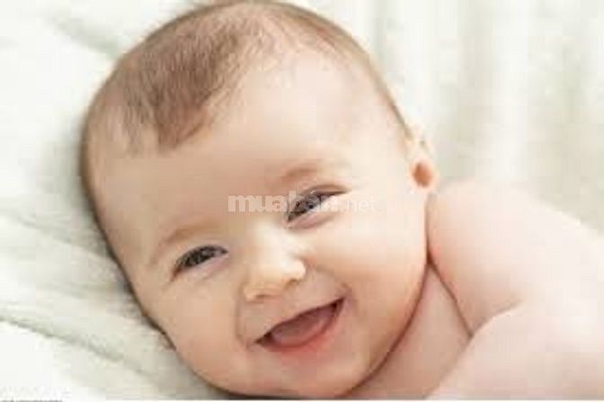 Cần 2 Người Giúp Việc Nhà,1 Chăm Em Bé, 1 Chăm Người Già 61354997 Cần 2 Người Giúp Việc Nhà,1 Chăm Em Bé, 1 Chăm Người Già