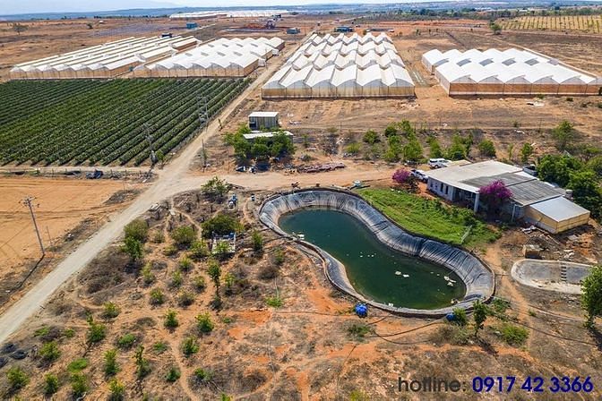 Đất sào ven biển Bình Thuận, sổ đỏ công chứng ngay 61351086 Đất sào ven biển Bình Thuận, sổ đỏ công chứng ngay