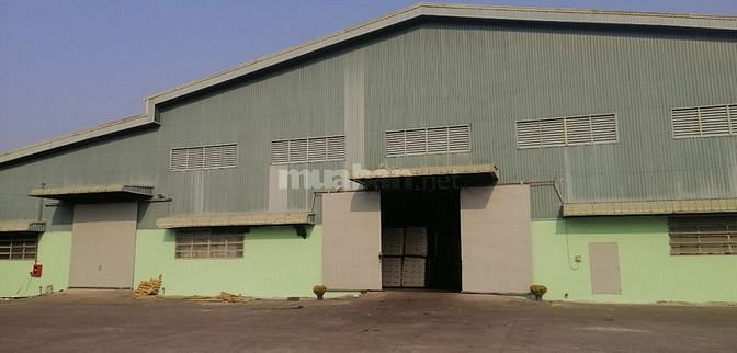 Cần cho thuê dài hạn kho xưởng trong CCN nhựa Tân Đô thuộc Đức Hòa 61364400 Cần cho thuê dài hạn kho xưởng trong CCN nhựa Tân Đô thuộc Đức Hòa