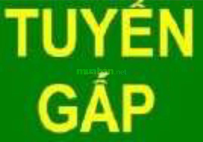 Cửa hàng cần tuyển gấp nhân viên bán hàng nam nữ 61402374 Cửa hàng cần tuyển gấp nhân viên bán hàng nam nữ