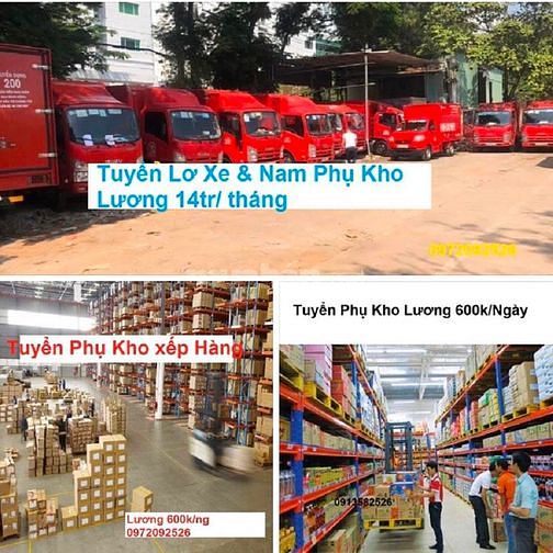 Cần Lái Xe Lơ Xe Phụ Kho Làm Tại Hậu Giang Lương cao 61429010 Cần Lái Xe Lơ Xe Phụ Kho Làm Tại Hậu Giang Lương cao