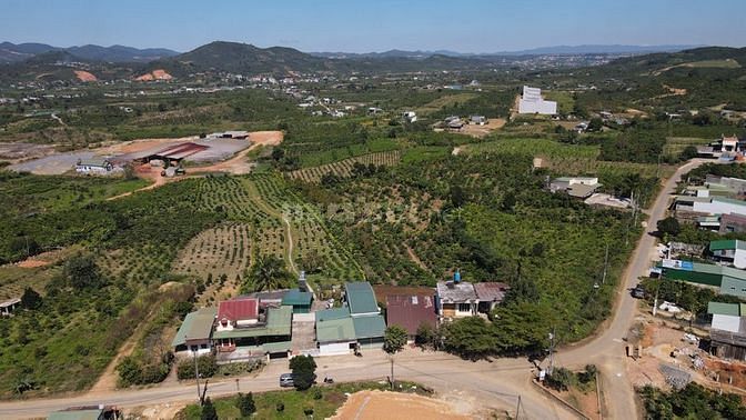 Bán nhà và đất giá rẻ ngay mặt tiền ngóc ngã ba Blao 61498624 Bán nhà và đất giá rẻ ngay mặt tiền ngóc ngã ba Blao