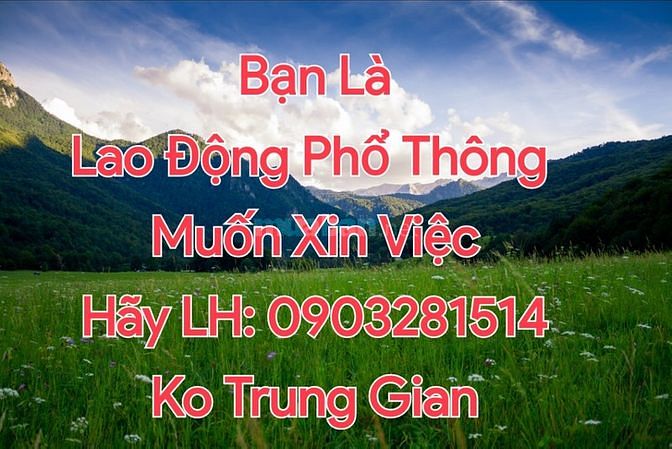 Hiện tại cần Tuyển Nhân Viên làm việc tại siêu thị mini 61520864 Hiện tại cần Tuyển Nhân Viên làm việc tại siêu thị mini