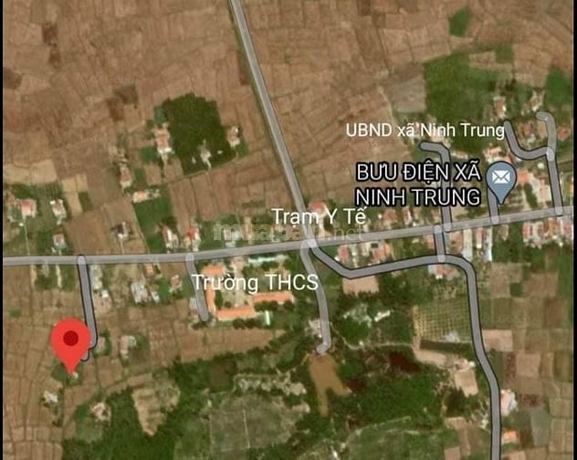 Bán 549m2 đất Cây lâu năm nằm ngay gần uỷ ban xã Ninh Trung