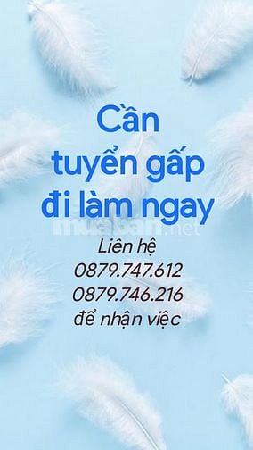 Cần nhân viên gấp - có trách nhiệm, hoạt bát. 61540685 Cần nhân viên gấp - có trách nhiệm, hoạt bát.