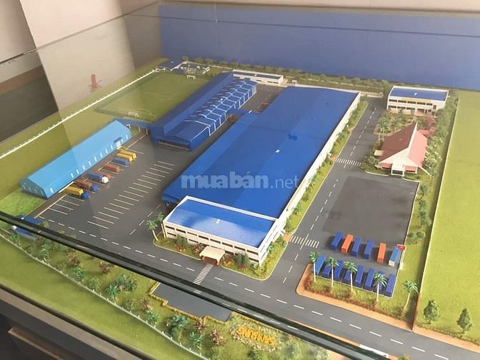 Cho thuê đất thổ cư diện tích 450m2 mặt tiền đường số tại An Phú 61550200 Cho thuê đất thổ cư diện tích 450m2 mặt tiền đường số tại An Phú