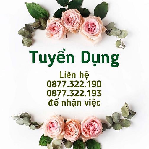 Cần tuyển 02 nhân viên làm siêu thị 61591493 Cần tuyển 02 nhân viên làm siêu thị