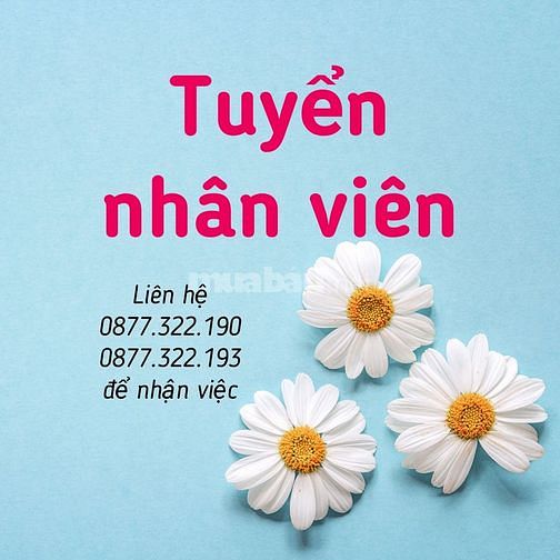 Tuyển nhân viên Bán hàng trực tiếp tại cửa hàng - Vệ sinh quầy kệ 61591399 Tuyển nhân viên Bán hàng trực tiếp tại cửa hàng - Vệ sinh quầy kệ