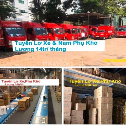 Tài xế xe tải nhe phụ kho và phụ lơ xe. 61605718 Tài xế xe tải nhe phụ kho và phụ lơ xe.