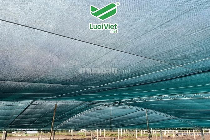 Lưới che nắng xanh đen màu độc quyền trên toàn quốc 61628251 Lưới che nắng xanh đen màu độc quyền trên toàn quốc