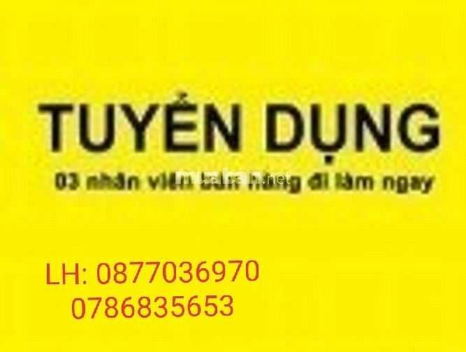 Cần gấp nhân viên bán hàng tại siêu thị mini 61634828 Cần gấp nhân viên bán hàng tại siêu thị mini