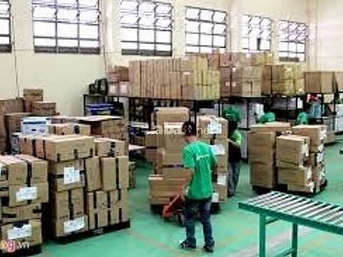 Công ty Thương Mại Quốc Tế & Vận Tải Phú Gia Phát cần tuyển gấp 25 nhâ 61635218 Công ty Thương Mại Quốc Tế & Vận Tải Phú Gia Phát cần tuyển gấp 25 nhâ